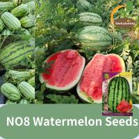 ราคา ผลผลิตสูง Sweet NO8 Watermelon Seeds เมล็ดแตงโม Super Lazy Sweet King ซูเปอร์สวีทโฟร์ซีซั่นส์เมล็ดผลไม้ฟิลด์ super lazy and sweet king watermelon seeds พืชในร่มและกลางแจ้ง Fruit Seeds เมล็ดผลไม้ (2204