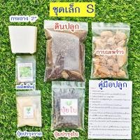 ราคา แตงโมจิ๋ว แตงโมคอนโด 10แถม1 ถูกที่สุด10 บ เมล็ดพันธุ์แตงโมจิ๋ว 5 30เมล็ด งอกง่าย โตไว ลูกดก แตงโมกระถาง แตงโมแคระ (22051086276)