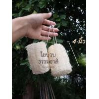 ราคา ใยบวบขัดหลัง ใยบวบถูหลัง ใยบวบขัดตัว ใยบวบถูตัว ใยบวบขัดผิว ใยบวบถูผิว (19376437512)