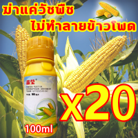 ราคา ไม่ทำลายข้าวโพด ยาฆ่าหญ้าข้าวโพด 2000g เข้มข้นสุดๆ ฆ่าหญ้ารอบข้าวโพด ยาฆ่าหญ้าในข้าวโพด ฆ่าแค่วัชพืชไม่ทำลายข้าวโพด ยาชุดข้าวโพด อัตรากำจัดวัชพืช100 ฆ่าแค่วัชพืชไม่ทำลายข้าวโพด ใช้1ครั้ง นาข้าวโพด ยา 