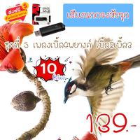 ราคา G8SHOP เสียงนกกรงหัวจุก ชุดที่ 5 เสียงนกกรงหัวจุก เพลงเบิ้ล4พยางค์ เบิ้ล2เบิ้ล3 mp3 ความยาว 10 ชม เสียงชัด เสียงใสกังวาน ได้ผล100 (22047473224)