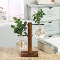 ราคา พร้อมส่ง FLOWER girl home แจกัน แจกันแก้วไฮโดรโปนิค สไตล์วินเทจ (13111755471)
