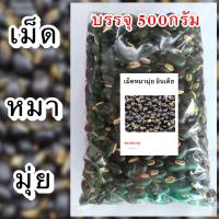 ราคา เม็ดหมามุ่ยอินเดีย เม็ดหมามุ่ย หมามุ่ย (21946504639)