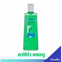 ราคา แชมพูสูตรเย็น กิฟฟารีน คาฟิร่า แชมพูอ่อนใส สูตรเย็น เพิ่มความสดชื่น เย็นสบายหนังศรีษะสารสกัดจากผลมะกรูด (21679682042)
