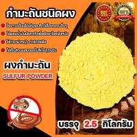 ราคา กำมะถันชนิดผง ถุง 1 กิโลกรัม ผงกำมะถัน สารกำจัดศัตรูพืช ซัลเฟอร์ ผงกำมะถัน ผงกำมะถัน ผงกันงู สารไล่งู กำมะถันรักษาโรคผิวหนัง (22098464040)