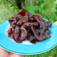 ราคา เนื้อเค็มแดดเดียวแผ่น ทอดพร้อมทาน (22149992717)