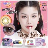 ราคา คอนแทคเลนส์ Tokyo brown โตเกียว บาว์น dreamcolor ดรีมคัลเลอร์ เลนส์นิ่ม บิ๊กอาย คอนแทคเลนส์สายตา bigeye (18533477515)