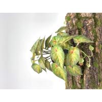 ราคา พร้อมส่ง ต้นไม้ปลอมสำหรับตกแต่งสวนต้นไม้ปลอมแขวนผนังลายนกยูงเต่าใบบีโกเนียบ้านระเบียงเถาดอกไม้สีเขียวกระถางหญ้า (22121839562)