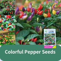 ราคา เมล็ดพันธุ์พริก7สี เมล็ดพริกสีรุ้ง Rainbow Chilli Pepper พริกประดับเจ็ดสี Colorful Pepper Seeds เมล็ดพริกไทยห้าสี เมล็ดพริกไทยฤดูกาลทั้งสี่ เมล็ดพืชผักสำหรับต้นกล้า ลูกเดือย กระถางเมล็ดภาคใต้ (2205658