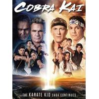 ราคา DVD ซีรีย์ ฝรั่ง Cobra Kai Season 1 4 คอบร้า ไค ซีซั่น 1 4 ดีวีดี ซีรีส์ พากย์อังกฤษ ซับไทย 4KNow (22173065128)