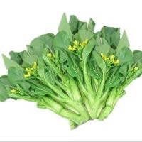 ราคา 1000 เมล็ด กวางตุ้งดอกฮ่องกง กวางตุ้งฮ่องเต้ไทนี่ กวางตุ้งจีน Pak Choy เมล็ดผัก ปลอดสาร NON GMO (21824190473)