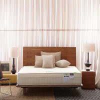 ราคา SB Design Square ที่นอน Lotus รุ่น MICROLATEX II ขนาด 5 ฟุต แถมฟรี หมอนหนุน 2 ใบ (12727356900)