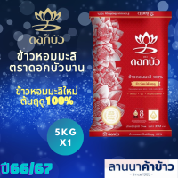 ราคา ข้าวตราดอกบัวบาน ข้าวหอมมะลิใหม่ต้นฤดู100 ปี66 67 (22043042064)