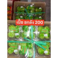ราคา เปี๊ยใบเตย ยกลัง 20 กล่อง (21210504093)