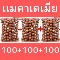 ราคา โปรเเมคคาเดเมีย ซื้อ1ฟรี2 เเมคคาเดเมีย Macadamia เเมคคาเดเมีย เเม็กคาเดเมีย เเมคคา เเมคคาเดเมียอบ เเมคคาเดเมียอบเนย ถั่วอบแห้ง ถั่วแมคคาเดเมีย ถั่ว ถั่วแม็คคาเดเมีย ราชาแห่งถั่ว ถั่วอบแห้ง (2204167163