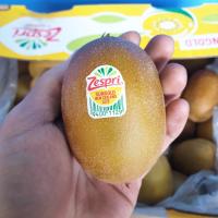 ราคา กีวี่ทอง KIWI Zespri SunGold 1ลูก CHN NZL Greece France ลดพิเศษ Premium หวานเจี๊ยบ กีวีทอง กีวีสีทอง นิวซีแลนด์ กีวี่สด กีวี่สีทอง ผลไม้สดกีวี่ ผลไม้สดๆ นำเข้า (21195869201)