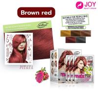 ราคา ครีมเปลี่ยนสีผม Solbol มีทั้งหมด 5 เฉดสี (19664132859)