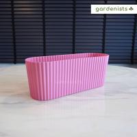 ราคา รางกระถางพลาสติก มินิ 32ซม กระถางรางหมู 4นิ้ว (22093715278)