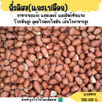 ราคา ถั่วลิสง แกะเปลือก แบ่งขาย 200 500G สำหรับนกแก้วขนาดกลาง ใหญ่ แฮมสเตอร์ กระรอก กระแต (20512378935)