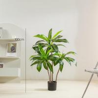 ราคา ต้นวาสนา พร้อมกระถางทั้งชุด ต้นไม้มงคล ต้นไม้ปลอมแต่งบ้าน ต้นไม้แต่งบ้านสวยๆ ต้นไม้ประดิษฐ์ พร้อมส่ง Plant L NAS (21885832089)