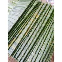 ราคา ตับจากมุงหลังคาชุดละ10ตับ10ชิ้น ขนาดกว้าง 40 cm ยาว100cmและขนาด ยาว 130 ซม กว้าง 40 แต่งแต่งสวนหรือทำเป็นหลังคาสวยงาม (21584792737)