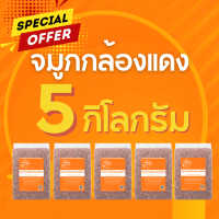 ราคา จมูกข้าวไรซ์เบอร์รี่ จมูกกล้องแดง จมูกกล้องเหลือง จมูกข้าว ปลายข้าวสาร ราคาถูกที่สุด 5 กก ตรา Good Rice by Glory Rice (21813888750)