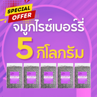 ราคา จมูกข้าวไรซ์เบอร์รี่ จมูกกล้องแดง จมูกกล้องเหลือง จมูกข้าว ปลายข้าวสาร ราคาถูกที่สุด 5 กก ตรา Good Rice by Glory Rice (21813888747)