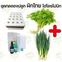 ราคา ชุดทดลองปลูกผักไทยและผักสลัด ไฮโดรโปนิกส์ และอุปกรณ์ยกชุด (22180070441)