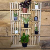 ราคา ชั้นวางแคคตัส ชั้นไม้สักแขวนติดผนังบ้าน สูง70ซม กว้าง50ซม ชั้นวางลึก9ซม (5061066867)