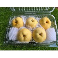 ราคา ยกลัง สาลี่น้ำผึ้ง ลูกแพร์ Honey Pear ตราดอกบัว แพ็ค 5 ลูก ผลไม้สด รสชาติหวาน เนื้อกรอบ อร่อย (21939311050)