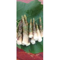 ราคา หน่อไม้หวานเพชรน้ำผึ้ง1 kg เฉพาะไฃส์ใหญ่และหน่อนางดิน (21963115900)