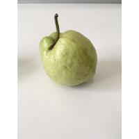 ราคา สดจากไร่ ฝรั่งกิมจู 1กิโล ฝรั่งสดสะอาด ผักผลไม้สดใหม่ ราคาถูก ที่สุด ราคาส่ง (21411177889)