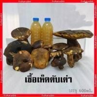 ราคา เชื้อเห็ดเผาะหนัง หัวเชื้อเห็ดเผาะหนัง เข้มข้นเกิด100 ไม่ผสมน้ำ เชื้อสดใหม่ หัวเชื้อ180มล เชื้อ600มล พร้อมวิธีปลูก (22157429374)