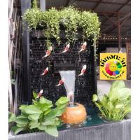 ราคา น้ำตกปลามงคง 8 ตัว เงินไหลกองทองไหลมา (22040118121)