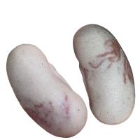 ราคา คตขนุน เครื่องรางธาตุทนศิลป์ พระเก่าเหมาบ้าน น่าบูชา (21599548074)