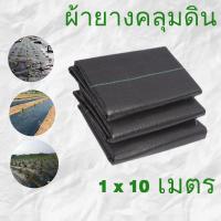 ราคา สูญเงิน ขนาดใหญ่ 2x50m 2x100m 1x100m 1x50m ผ้ากันวัชพืช ผ้ากำจัดวัชพืช ระบายอากาศและน้ำซึมผ่านได้ อายุการใช้งาน 3 5 ปี (22181707111)