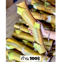 ราคา พลูด่าง พลูยักษ์ ต้นพลูด่าง ไม้ด่าง ใบฉีก ต้นไม้ บ้าน ฟอกอากาศ (21599285788)