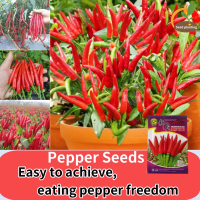 ราคา เมล็ดพันธุ์ พริกจินดาแดง เมล็ดพันธุ์ พริกชี้ฟ้า Red Hot Pepper Seeds ปลูกผลไม้ขนาดใหญ่กระถางเมล็ดพริกลูกเดือย Super เผ็ดสี่ฤดูเมล็ดพืชผัก for Planting Large fruit potted millet pepper seeds extra spic