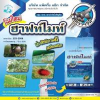 ราคา ไพริดาเบน 20 WP ฮาฟไมท์ สารกำจัดไรแดง ขนาด 100กรัม กำจัด ไรแดงกุหราบ ไรแดงแอฟริกัน ไรแดงมะม่วง ไรแดงกระเจี๊ยบ ไรแดงหม่อน ไรแดงชมพู ไรแดงชา ไรขาวพริก ไรกระเทียม ไรสนิมส้ม ไรกํามะหยี่ ไรเหลืองส้ม (21537