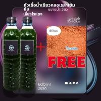 ราคา พ่อแม่พันธุ์ไรแดง 4000 6000 คู่ พร้อมน้ำเขียว ขวดละ600ml (22204616014)