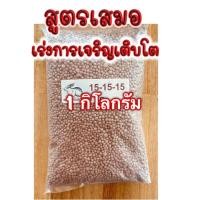 ราคา ปุ๋ย 15 15 15 เร่งต้น เร่งการเจริญเติบโต (14689735674)