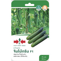 ราคา แตงร้าน จัมโบ้กรีน SD F1 010 ผักซอง ศรแดง F1 เมล็ดพันธุ์ผัก แตง เมล็ดพันธุ์ ผักสวนครัว (20109170712)