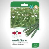 ราคา บวบเหลี่ยม เฮอคิวลิส SD F1 019 ผักซอง ศรแดง F1 บวบ East West Seed Luffa seeds เมล็ดพันธุ์ผัก เมล็ดพันธุ์ ผักสวนครัว (20108353750)