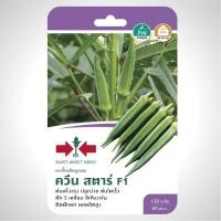 ราคา กระเจี๊ยบ ควีนสตาร์ SD F1 035 ผักซอง ศรแดง F1 เมล็ดพันธุ์ เมล็ดพันธุ์ลูกผสม เมล็ดพันธุ์ผัก ผักสวนครัว ผักศรแดง ตราศรแดง (20114922762)