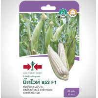 ราคา ข้าวโพดข้าวเหนียว บิ๊กไวท์853 SD F1 036 ผักซอง ศรแดง ข้าวโพดข้าวเหนียว บิ๊กไวท์ 853 F1 ข้าวโพด เมล็ดพันธุ์ เมล็ดพันธุ์ลูกผสม เมล็ดพันธุ์ผัก ผักสวนครัว ผักศรแดง (20115448237)
