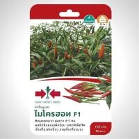 ราคา พริกขี้หนู ไมโครฮอท SD F1 060 ผักซอง ศรแดง F1 เมล็ดพันธุ์ พริก เมล็ดพันธุ์ลูกผสม เมล็ดพันธุ์ผัก เมล็ดพันธุ์ ผักสวนครัว ผักศรแดง (20115196899)