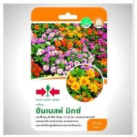 ราคา บานชื่นหนู ZINNIA ANGUS SD FW 017 บานชื่นหนู ซันเบสท์ มิกซ์ เมล็ดพันธุ์ดอกไม้ เมล็ดพันธุ์ ผักสวนครัว บานชื่น ตราศรแดง (20686489574)