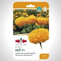 ราคา ดาวเรือง เทวี SD FW 004 ผักซอง ศรแดง F1 เมล็ดพันธุ์ เมล็ดพันธุ์ลูกผสม เมล็ดพันธุ์ผัก ผักสวนครัว ผักศรแดง (20115387681)