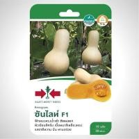 ราคา ฟักทอง ซันไลท์ SD F1 092 ผักซอง ศรแดง F1 เมล็ดพันธุ์ เมล็ดพันธุ์ลูกผสม เมล็ดพันธุ์ผัก ผักสวนครัว ผักศรแดง (20108776743)