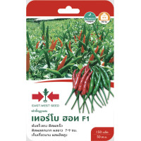 ราคา พริกขี้หนู เทอร์โบฮอท SD F1 061 ผักซอง ศรแดง F1 พริก East West Seed เมล็ดพันธุ์ผัก เมล็ดพันธุ์ ผักสวนครัว (20115339381)